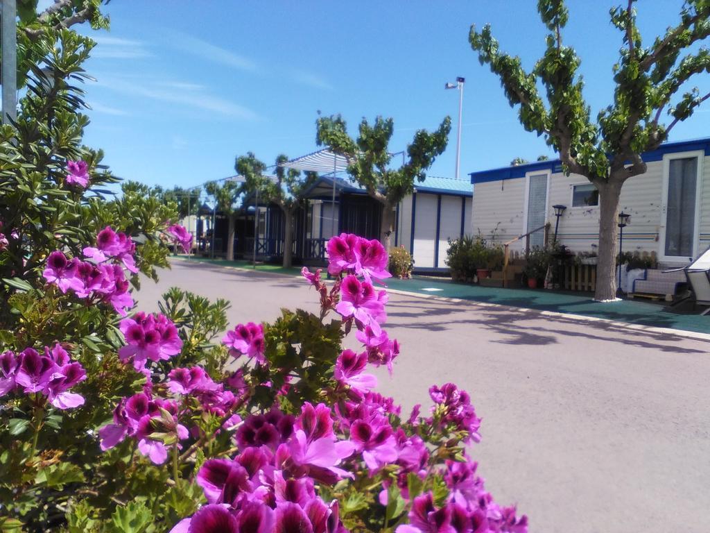 Camping Y Bungalows Monmar มอนโกฟาร์ ภายนอก รูปภาพ