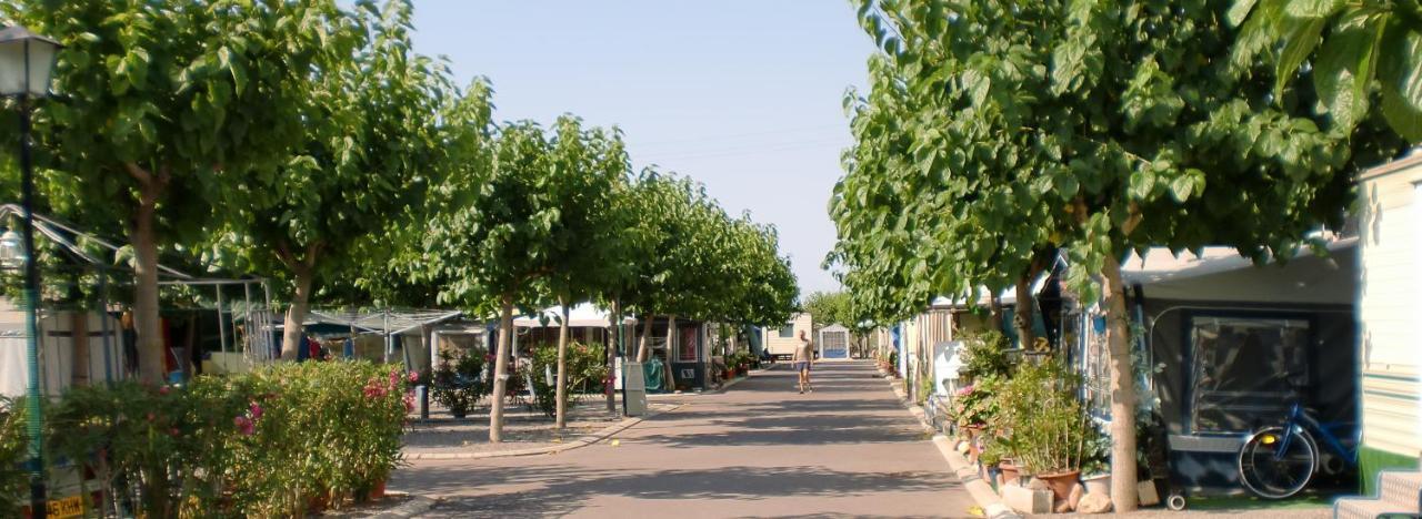 Camping Y Bungalows Monmar มอนโกฟาร์ ภายนอก รูปภาพ